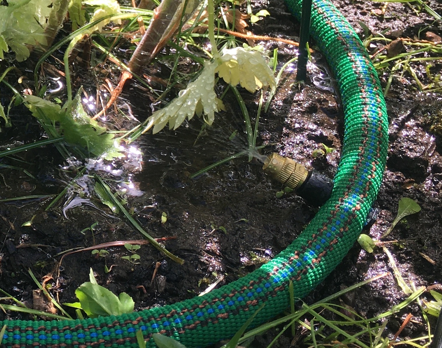 schneckenschlauch-startseite-schneckenschutz